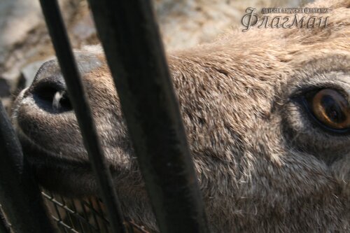 IMG_0689_r